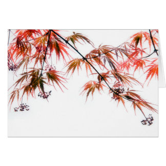 Japanische Kunstfotografie