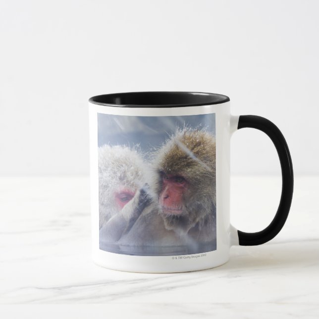 Japanische Macaques (Macaca fuscata) herein Tasse (Rechts)