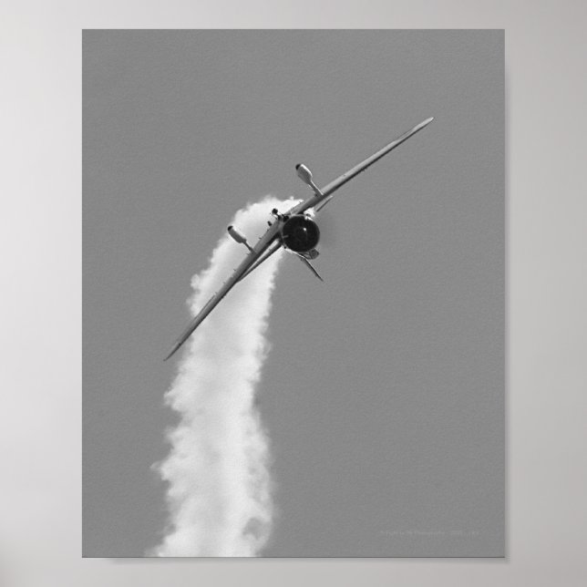 Japanische Marine Aichi D3A Tauchbomber Poster (Vorne)