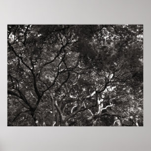 Japanische Niederlassungen Poster