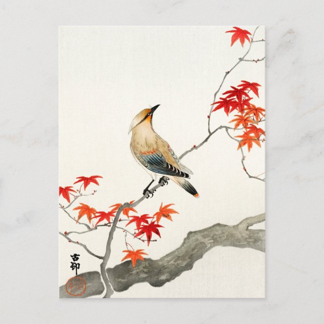 Japanische Pestvogel - Ohara Koson - Vintage Kunst Postkarte (Vorderseite)