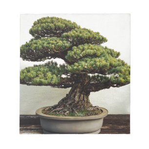 Japanische Pine Bonsai Tree Notizblock