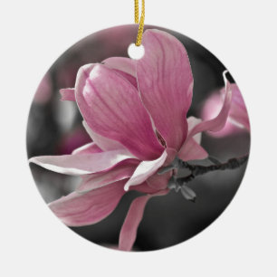 Japanische Rosa-Teller-Magnolie Keramikornament