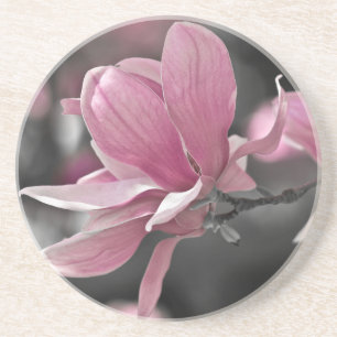 Japanische Rosa-Teller-Magnolie Sandstein Untersetzer