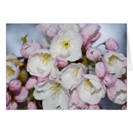 Japanische Rose