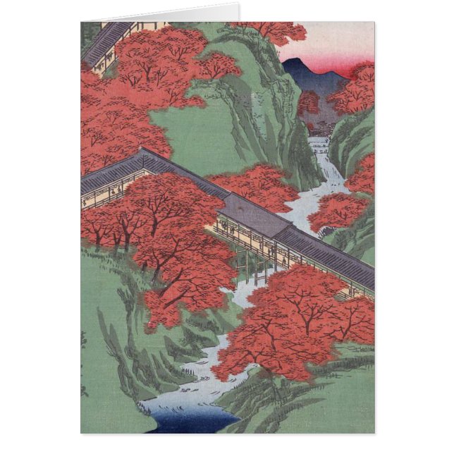 Japanische Rotapfel (Vorne)