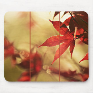 Japanische rote Ahornblätter Herbst sanfter Glanz Mousepad