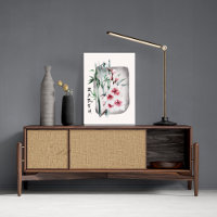 Japanische Sakura Rosa Kirschblüten Natur Erde