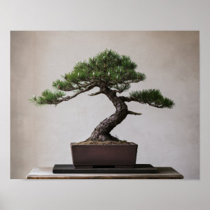 Japanische Schwarzkiefer-Bonsai   Zen-Wandkunst Poster