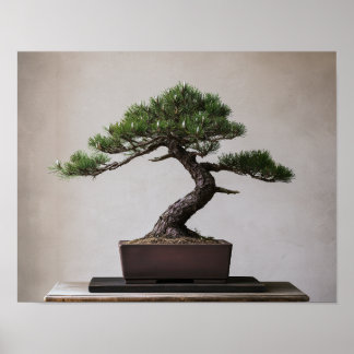 Japanische Schwarzkiefer-Bonsai | Zen-Wandkunst Poster