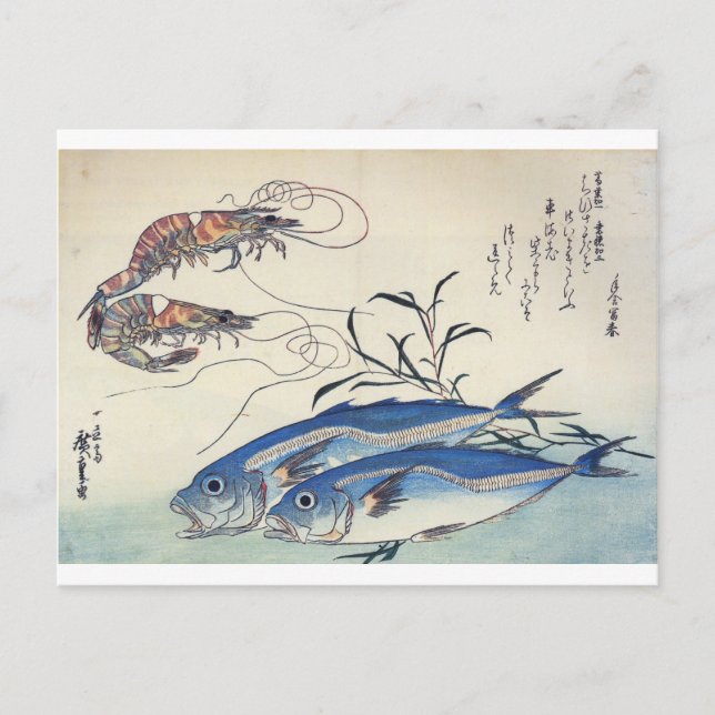 Japanische Sea Life Malerei um die 1800er Jahre Postkarte (Vorderseite)