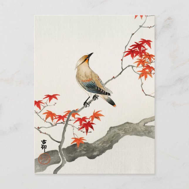 Japanische Seuchenvogel auf Ahorn von Ohara Koson Postkarte (Vorderseite)