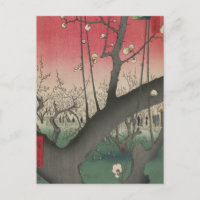 Japanische Sonnenaufgangsblume Pflaumenbäume Anwes