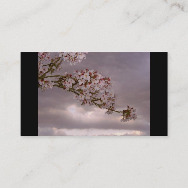 Japanische Visitenkarte (Vorderseite)