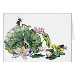 Japanische Wasserlilien und Lotus-Blume