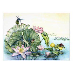 Japanische Wasserlilien und Lotus-Blume Fotodruck