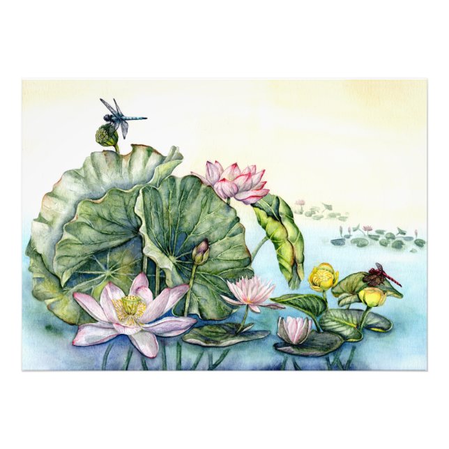 Japanische Wasserlilien und Lotus-Blume Fotodruck (Vorne)