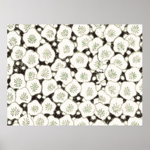 Japanische Weiße Blume Antiquitätendesign Poster
