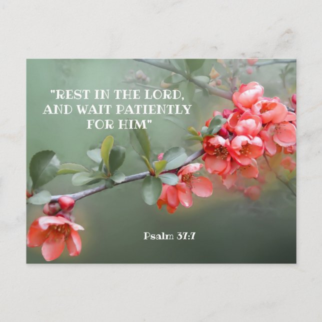 Japanische Zierstille mit Bibelzitat Postkarte (Vorderseite)