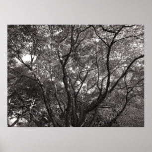 Japanische Zweigstellen II Poster