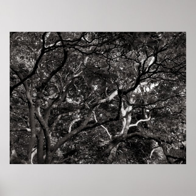 Japanische Zweigstellen III Poster (Vorne)