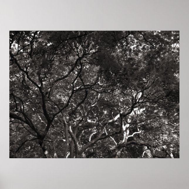 Japanische Zweigstellen Poster (Vorne)