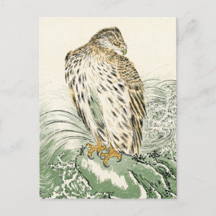 Japanischer Adler Postkarte