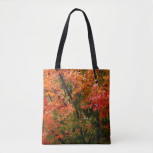 Japanischer Ahorn im Herbst