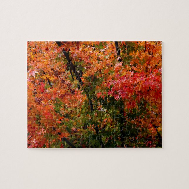 Japanischer Ahorn im Herbst Puzzle (Horizontal)