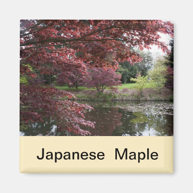 Japanischer Ahorn im Van Dusen Garden Magnet (Vorne)