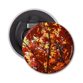 Japanischer Ahorn in der Sonne Flaschenöffner