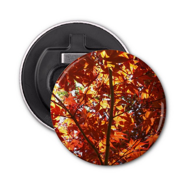 Japanischer Ahorn in der Sonne Flaschenöffner (Vorderseite)