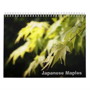 Japanischer Ahorn-Kalender Kalender