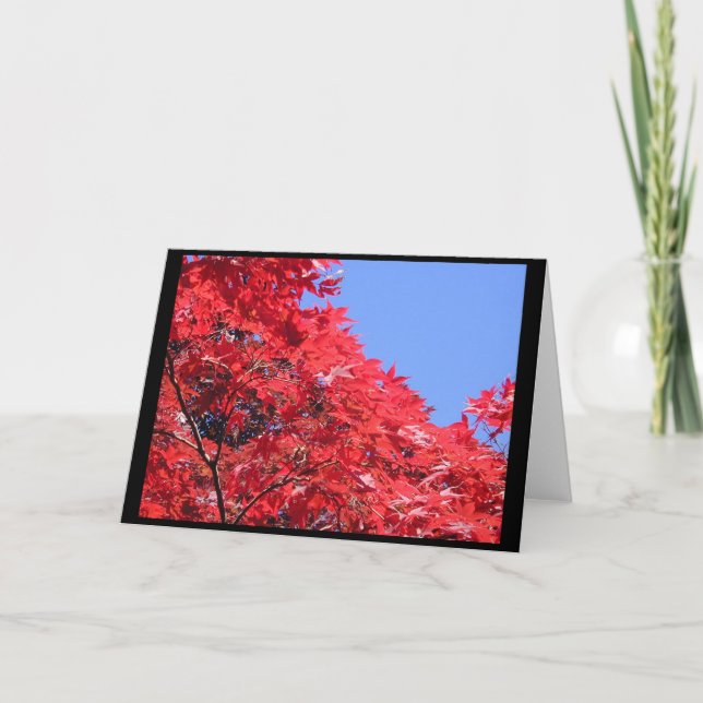 Japanischer Ahorn Karte (Vorderseite)
