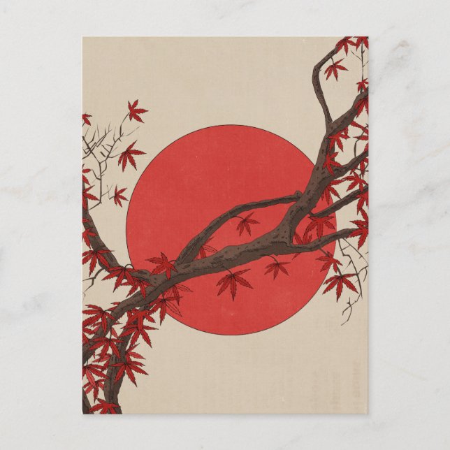 Japanischer Ahornbaum Postkarte (Vorderseite)