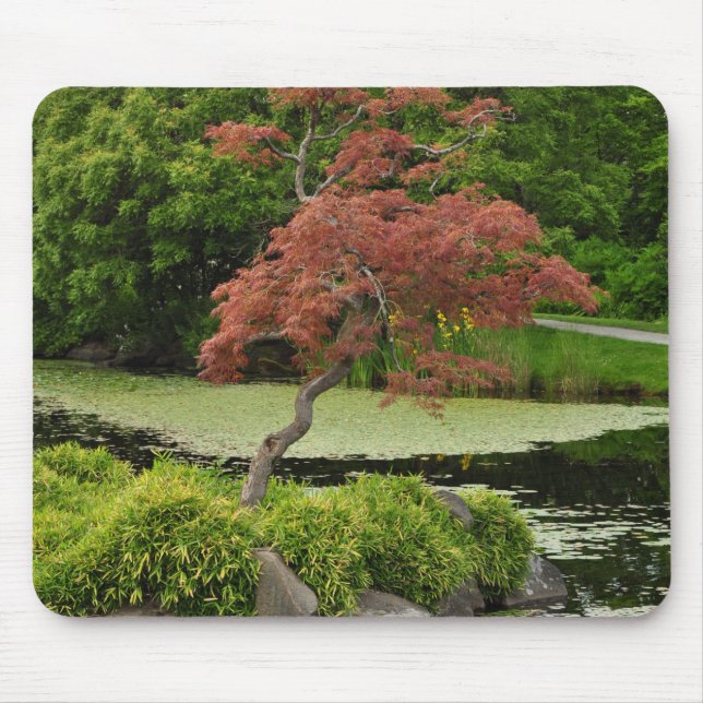 Japanischer Ahornbaum und Gartenteich Mousepad (Vorne)