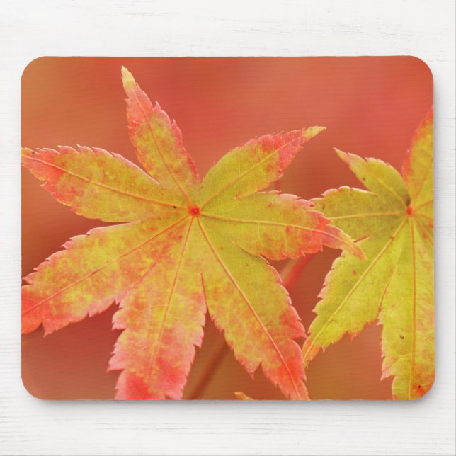Japanischer Ahornleaf Mousepad (Vorne)