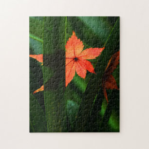 Japanischer Ahornleaf Puzzle