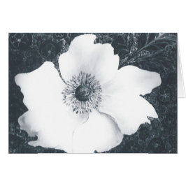 Japanischer Anemone.