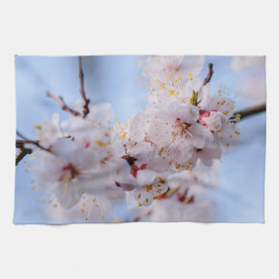Japanischer Apricot Blossom Geschirrtuch