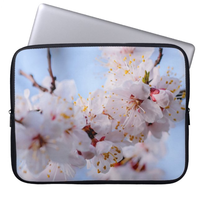 Japanischer Apricot Blossom Laptopschutzhülle (Vorderseite)