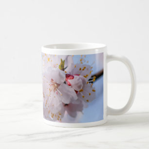 Japanischer Apricot Blossom Tasse