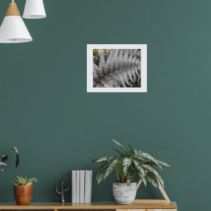 Japanischer bemalter Farn Blumenfotografie Poster