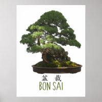 Japanischer Bonsai-Baum und Symbol