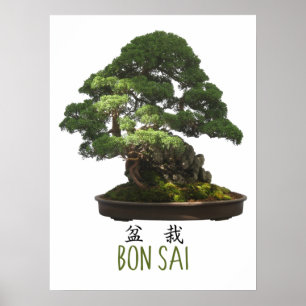 Japanischer Bonsai-Baum und Symbol Poster