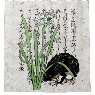 Japanischer Botanischer Frosch Toad im achtzehnten Duschvorhang