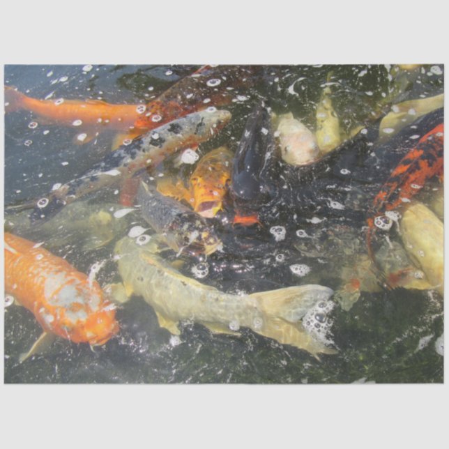 Japanischer Carp Koi Fisch schwimmen Seidenpapier (Vorderseite)