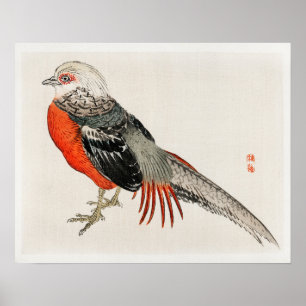 Japanischer Fasant von Kōno Bairei (1844-1895) Poster