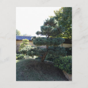 Japanischer Garten in Fort Worth Texas # 17 Postkarte