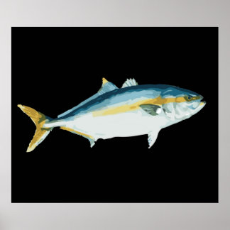 Japanischer Hamachi Yellowtail Amberjack Poster